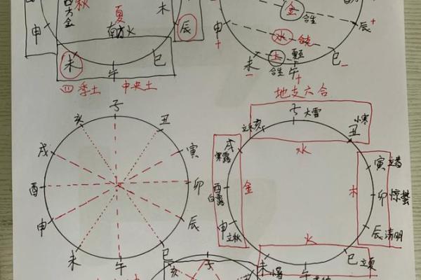 地支辰与命理运势的关联探讨 地支辰与命理运势的关联探讨