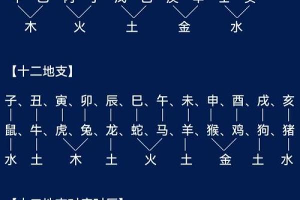 地支五行对照表解析与应用指南 地支五行对照表解析与应用指南
