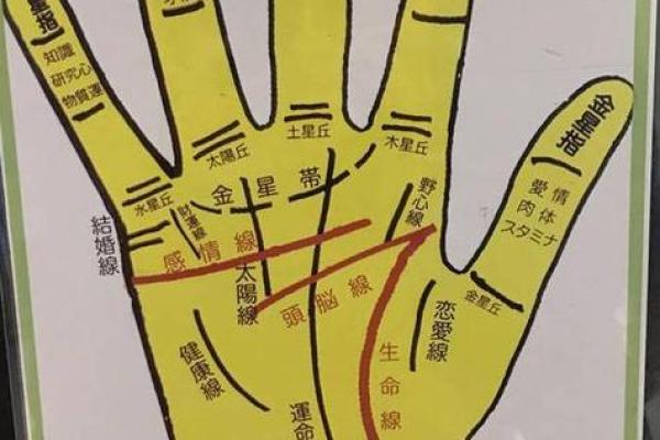 手相不准的原因解析：科学与迷信的分歧