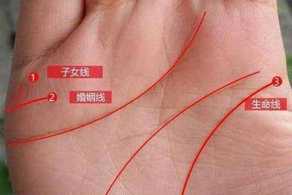 手相不准的原因解析：科学与迷信的分歧