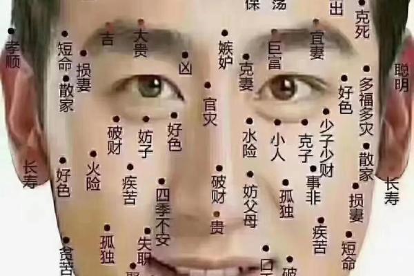 面相学中的痣相解析：如何通过面部痣的位置解读命运玄机
