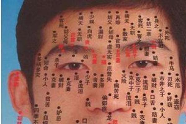 面相学中的痣相解析：如何通过面部痣的位置解读命运玄机