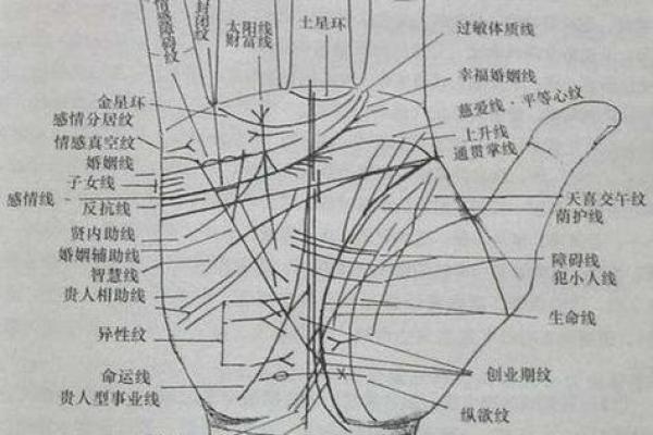 揭秘手相学：如何通过手纹解读性格与命运
