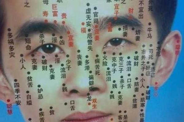 痣相与财富命运的深度解读