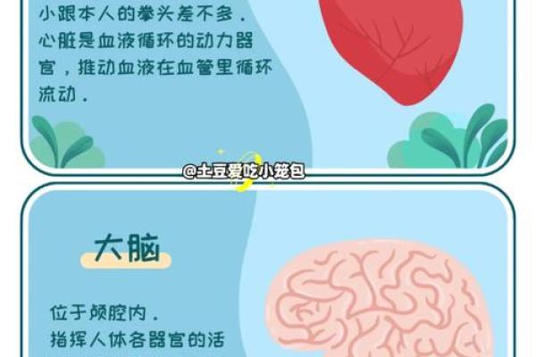 你手上的秘密：通过手相看透你的未来