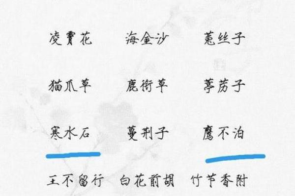 用文化元素塑造独具特色的网名