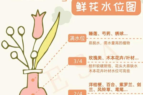 风水中能带来爱情运的花卉选择与养护方法