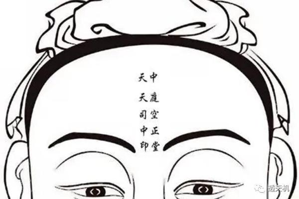 地阁方圆面相解析：女人的命运与性格暗示