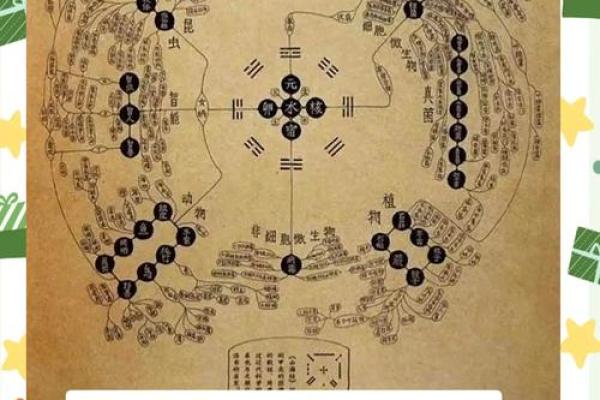 从风水角度看蛇的阴阳五行属性