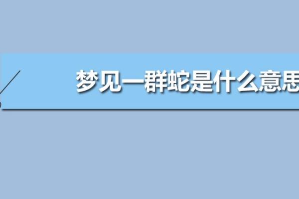 梦到鱼群游动代表的潜在含义