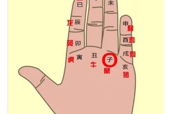 地支巳申合的命理解析与实际应用 地支巳申合的命理解析与实际应用