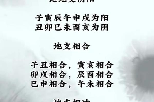地支卯酉相冲如何影响性格与运势 地支卯酉相冲如何影响性格与运势