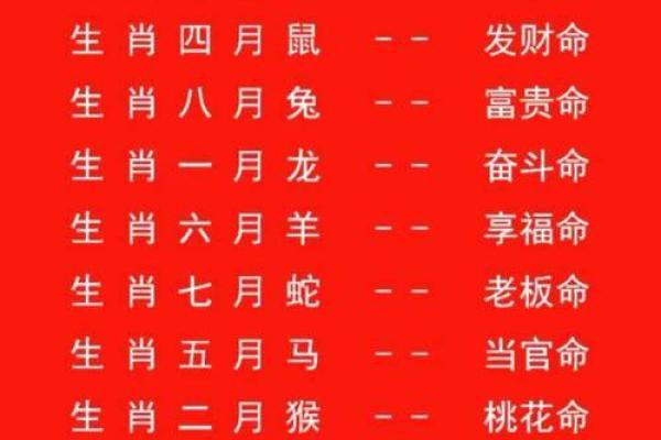 从十二生肖看个人命运与运势变化