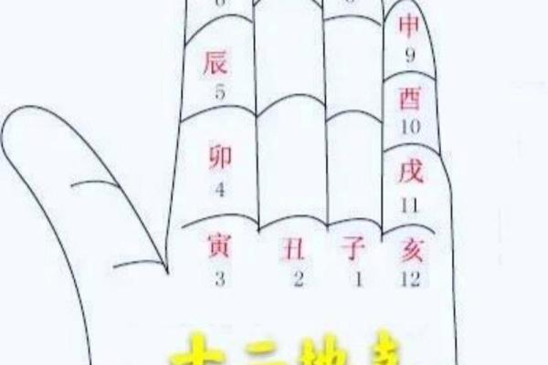 地支是什么？深入解读中国古代天干地支的奥秘