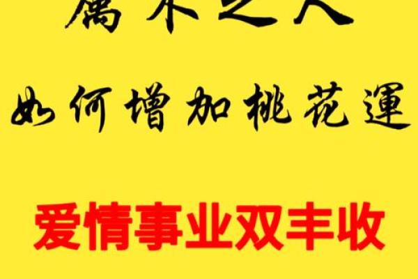 改善爱情运势的风水秘诀，让你桃花运旺盛