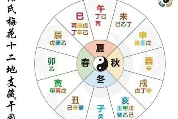 八字地支藏干揭秘:如何从地支分析命运运势 八字地支藏干揭秘:如何从地支分析命运运势