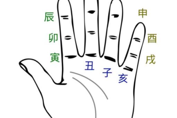 八字地支藏干揭秘:如何从地支分析命运运势 八字地支藏干揭秘:如何从地支分析命运运势