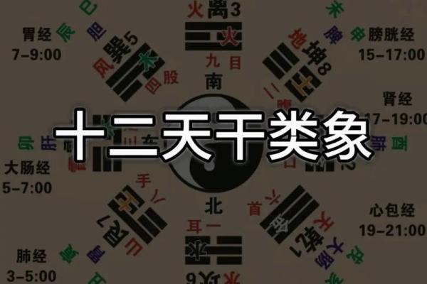 从八字天干地支看性格与运势