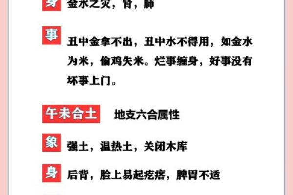 地支五行相生相克的奥秘 地支五行相生相克的奥秘