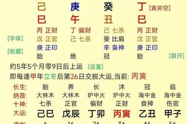 丁巳月命理解析与运势详解