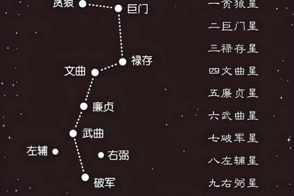 丁巳月命理解析与运势详解