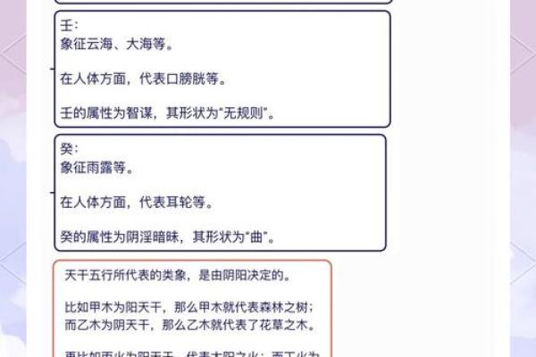 八字天干地支的基础解析与应用技巧