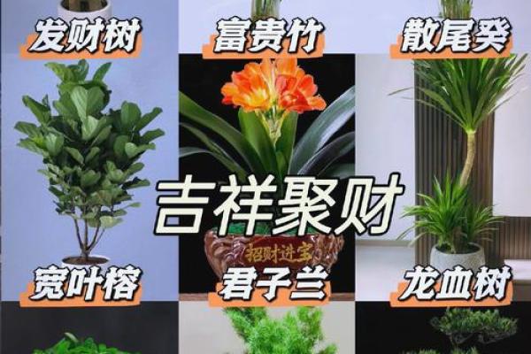 办公桌摆放技巧提升事业运势与财运