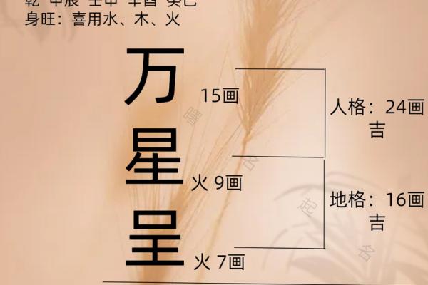 为什么越来越多家庭选择西安起名公司为孩子取名