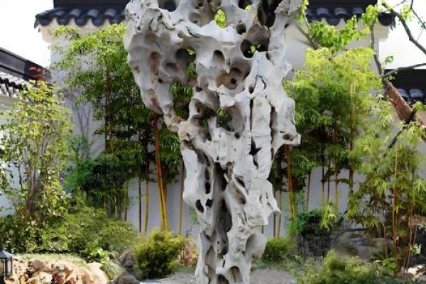住宅厅风水中的植物选择与摆放指南