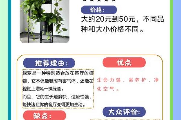 住宅厅风水中的植物选择与摆放指南
