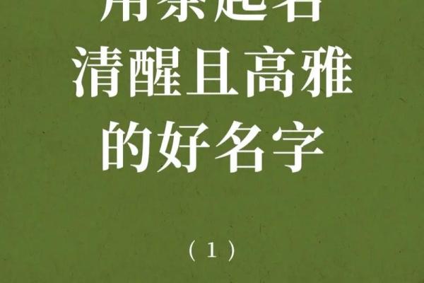 西安顶尖起名公司：为您的宝宝定制独一无二的名字