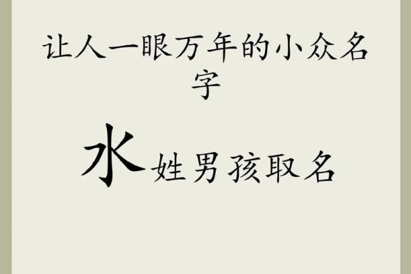 带水字的公司名字：象征流动与活力