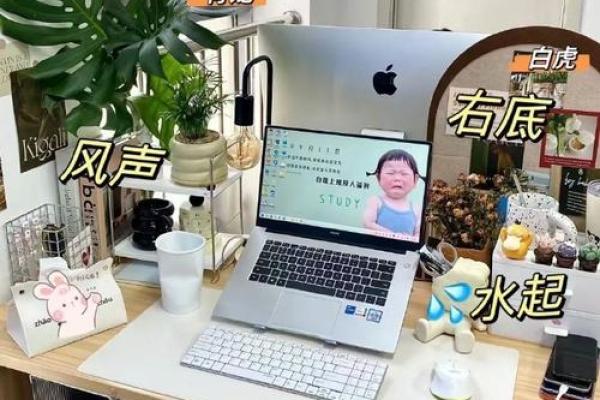 办公室背靠窗风水布局助力职场运势提升