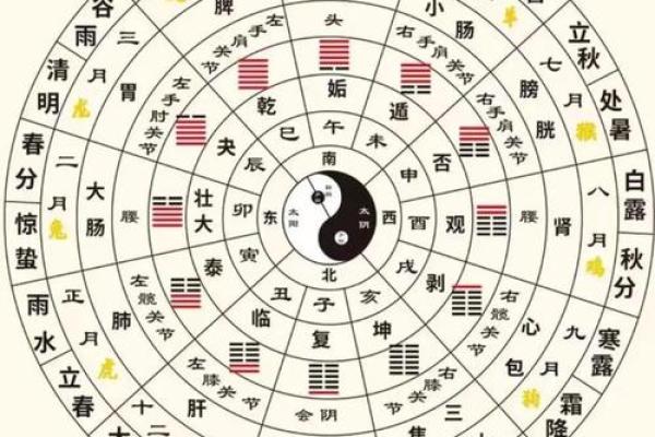 地支连茹与五行的关系与应用分析