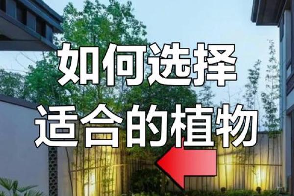 庭院风水布局禁忌：避免这些错误让家居更加和谐