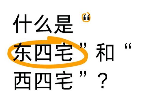以风水之道提升健康运势的家居秘诀