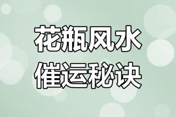 以风水之道提升健康运势的家居秘诀