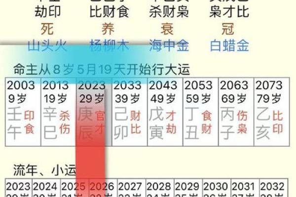 大运解析：如何看天干与地支的关系