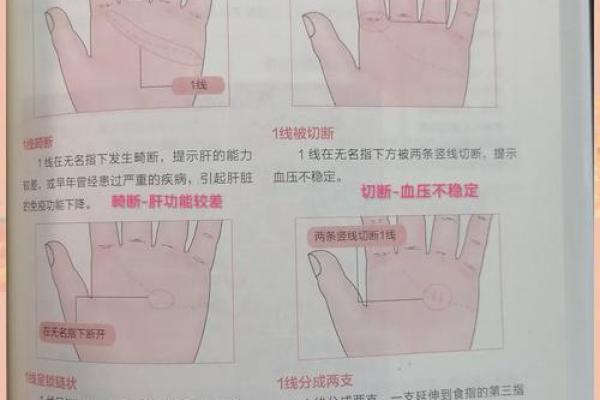 探索爱情风水：哪些数字能提升你的感情运势