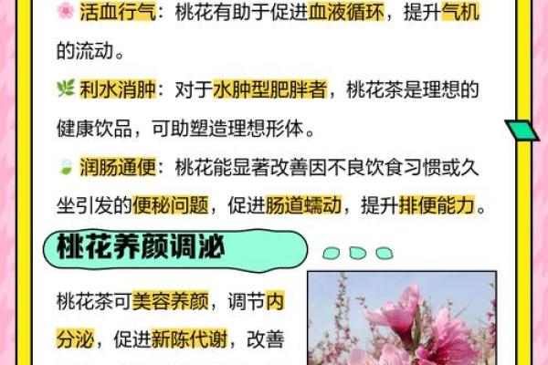 地支桃花的运势解析与感情运影响揭秘
