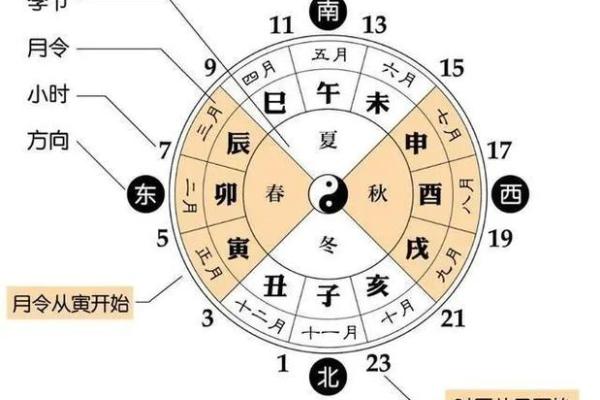 地支时辰表详解：十二时辰与命理的深刻联系