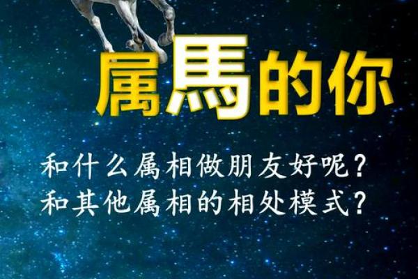 属马人如何通过风水助力爱情和谐