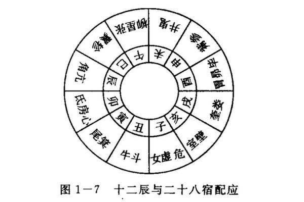 地支纪月法的起源与应用探析