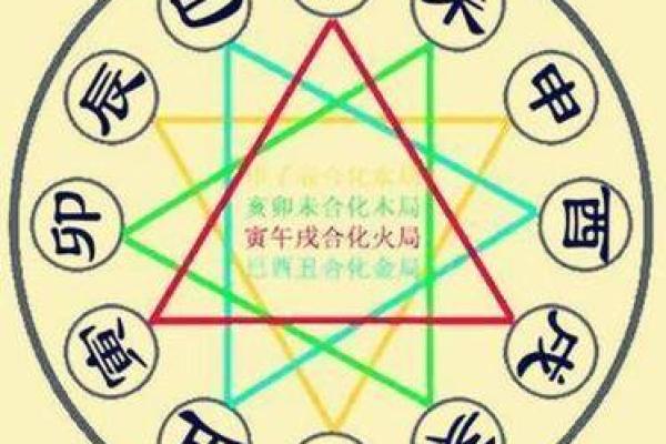 地支关系图的深层次含义与应用分析