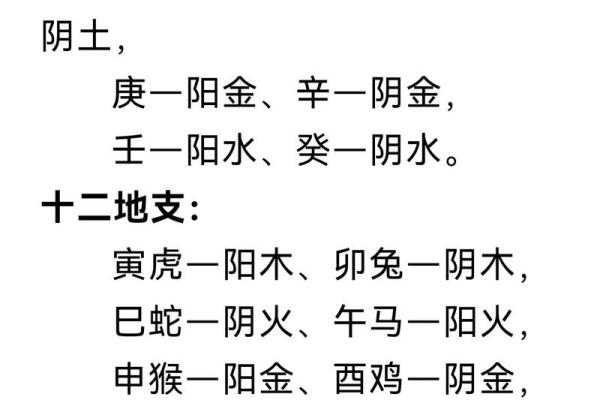 地支图解读与五行八字命理的深刻关联
