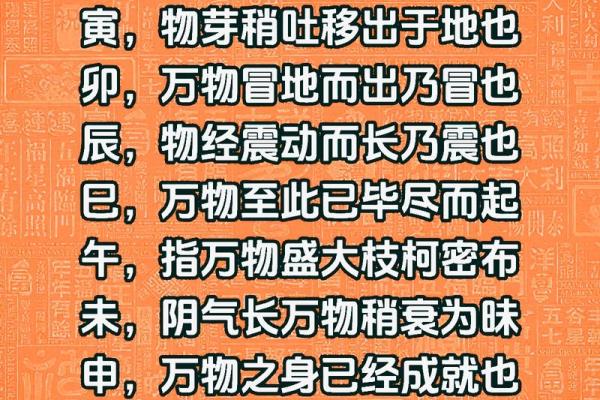 地支三酉解析与命理影响揭秘