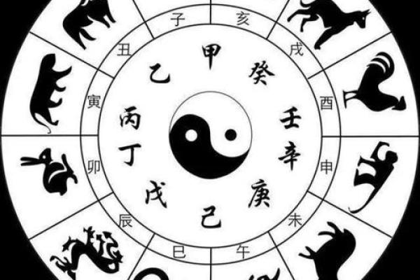 地支的含义与应用解析