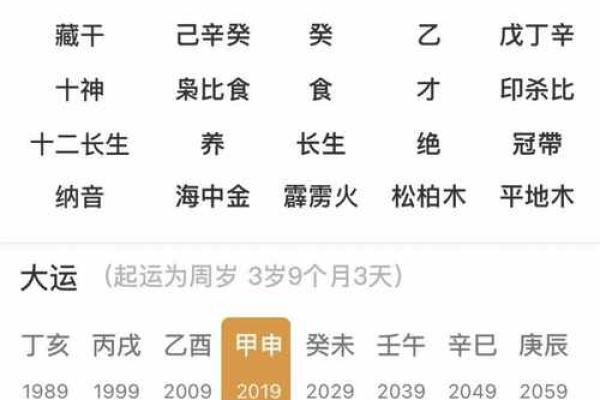 地支相刑解析：如何影响命理中的运势与性格特点