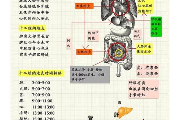 地支纪月法与天干地支的结合解析