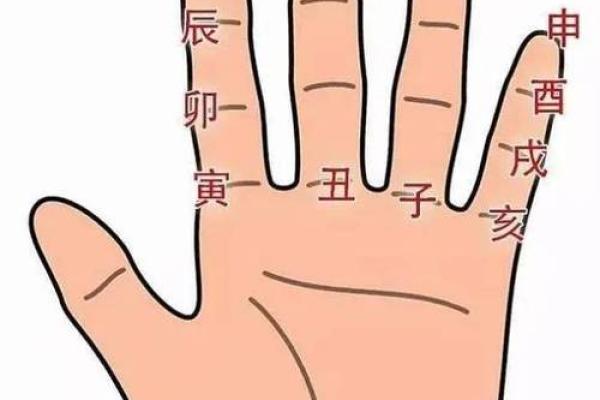 地支纪月法与天干地支的结合解析